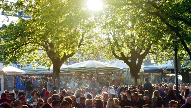 Mission Schatten pflanzen - Onboarding/Schulung Team BaumEntscheid München