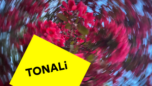 Vom Ursprung und anderen Sprüngen — Quartierskonzert TONALi Festival 2026