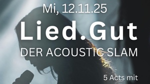 Lied.Gut Acoustic Slam