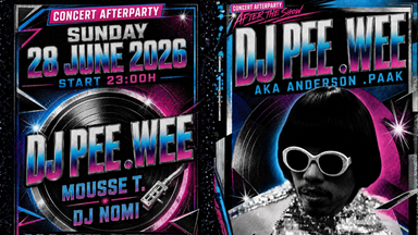 DJ PEE .WEE AFTER PARTY