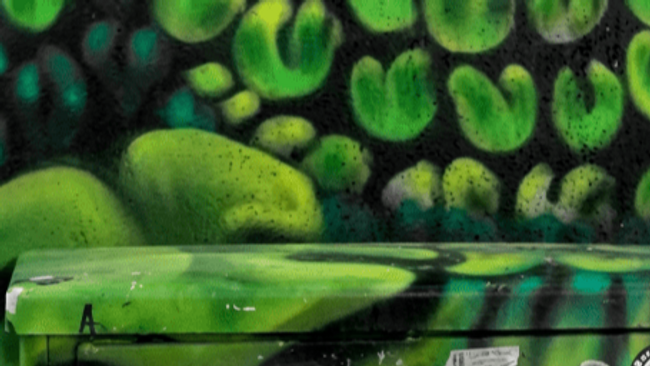 Streetart Fototour im Belgischen Viertel - "StreetArt als Kunstform“