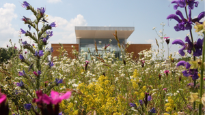 Heideabenteuer in den Pfingstferien - Ferienangebot für Kinder von 6 - 10 Jahren