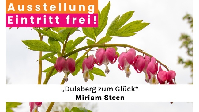 Miriam Steen: Dulsberg zum Glück