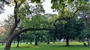 Stadtgarten for Future – Klimawandel trifft historischen Park!