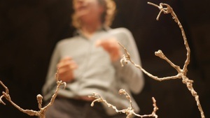 Staub – Dust – אבק