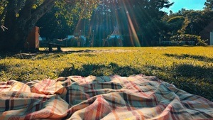 Ballett im Park