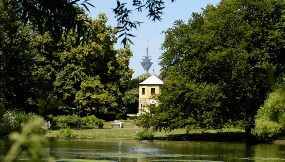 Bark Date - Best Date Ever!