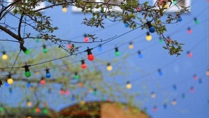 Blankeneser Straßenfest