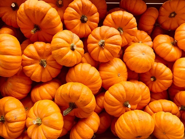 Was geht im Oktober in München?