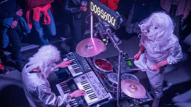 Dogshow + The World Domination