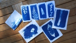 💙 Cyanotype Printing Workshop 💙