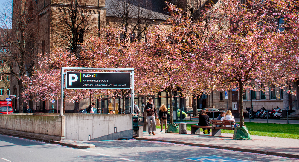 Wochenmarkt Barbarossaplatz Oberkassel
