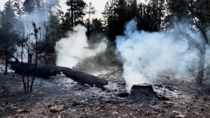 Power Manual / Weight Extra