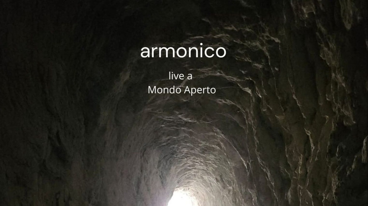 Meravigliarsi - Konzert von armonico