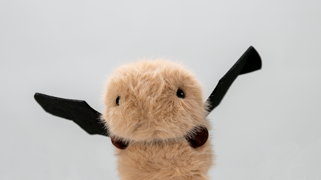 Kaffee, Kuchen, Meerschweinchen