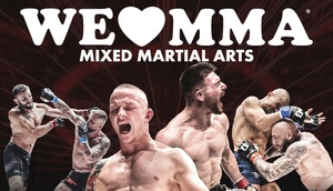 WE LOVE MMA