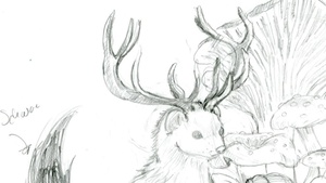 Tierwesen und wo man sie zeichnen kann | 12 - 16 Jahren