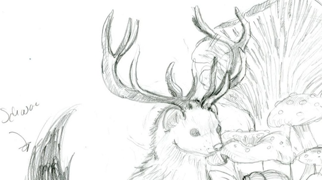 Tierwesen und wo man sie zeichnen kann | 12 - 16 Jahren