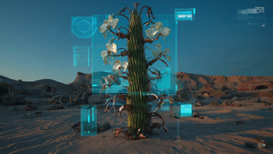 The Book of Transmutations. Chapter 4: The Intelligence of Plants