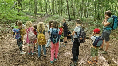 Sommerferienfreizeit imWald
