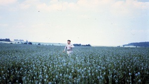 Filmseminar Werner Herzog: "Woyzeck"