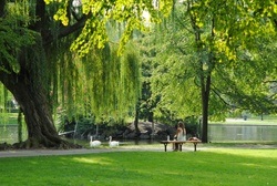 Stadtpark Regensburg