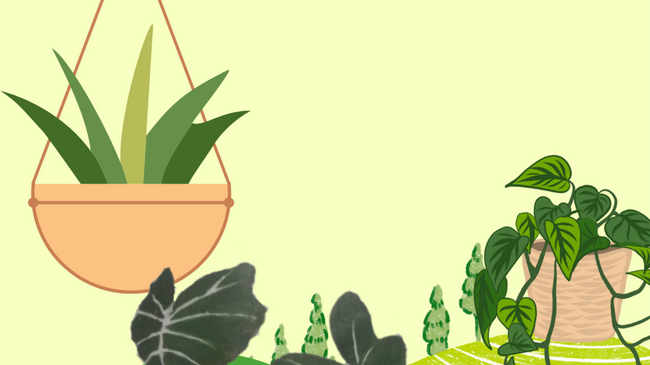 Ausflug in den Berggarten