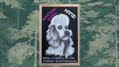 Forstamt Alpha & Hansi