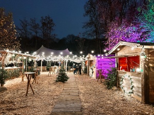 Weihnachtsmarkt auf der Praterinsel