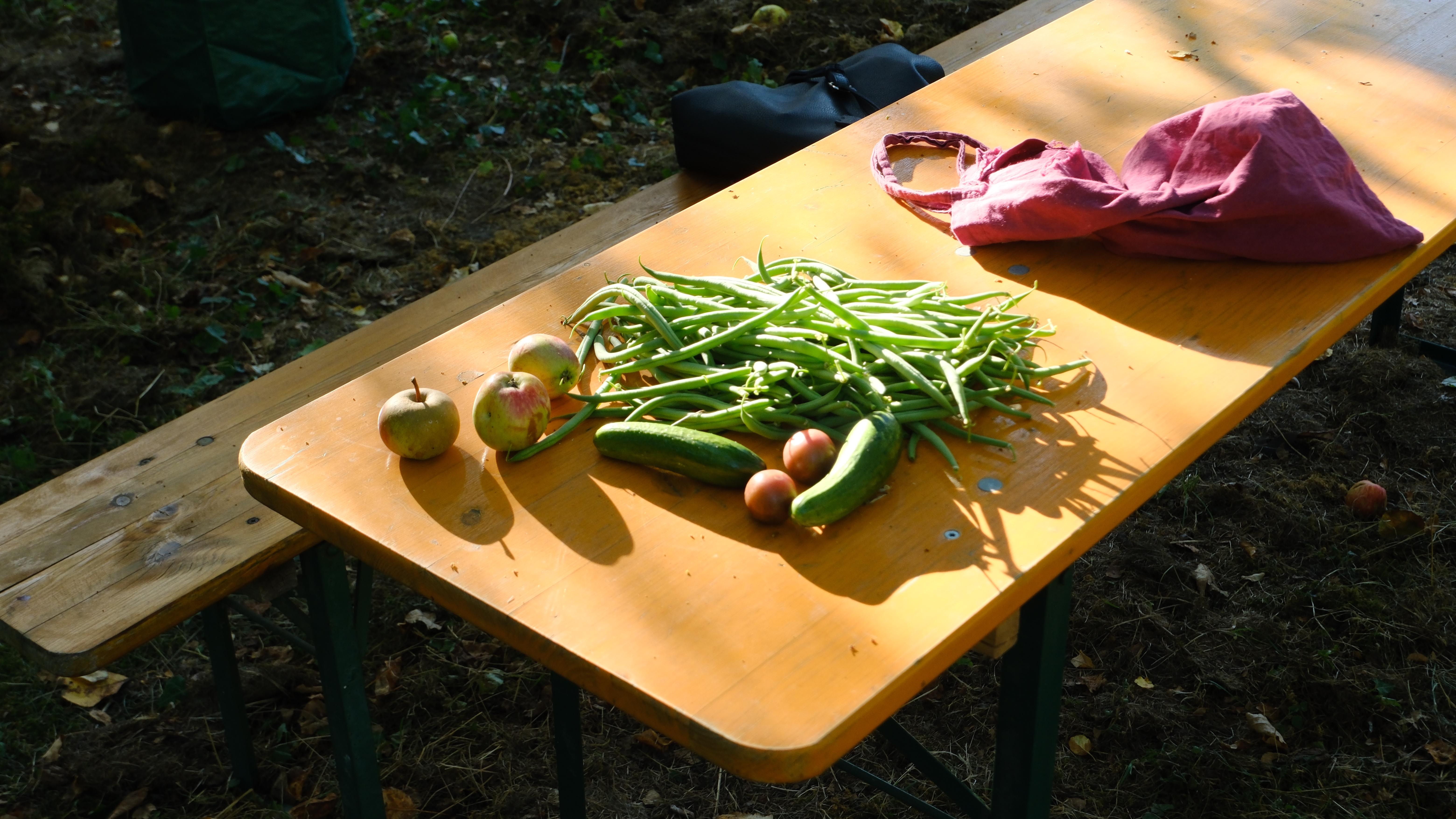 Mitmach-Garten