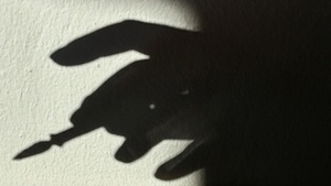 SundayPopulaire: Kalligrafie am Sonntag