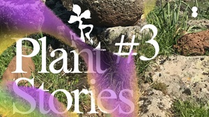 Feminist Perspectives on Plants and Resistance Struggles - PLANT STORIES #3