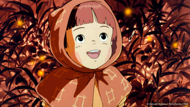 Die letzten Glühwürmchen (Grave of the Fireflies)