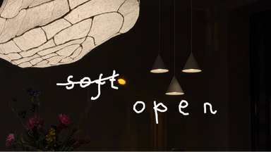 the Opening