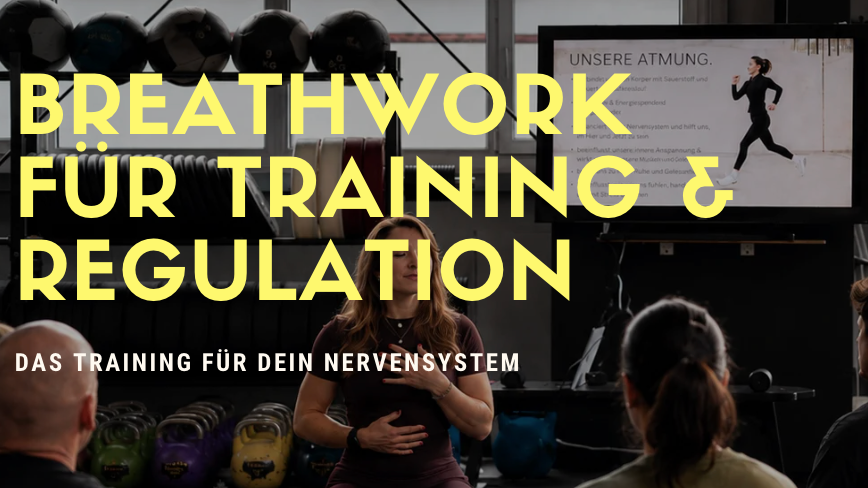 Breathwork für Training & Regulation - Das Training für dein Nervensystem