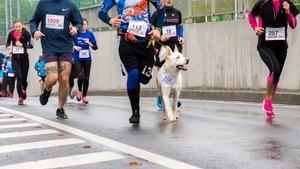 Köln Marathon 2025