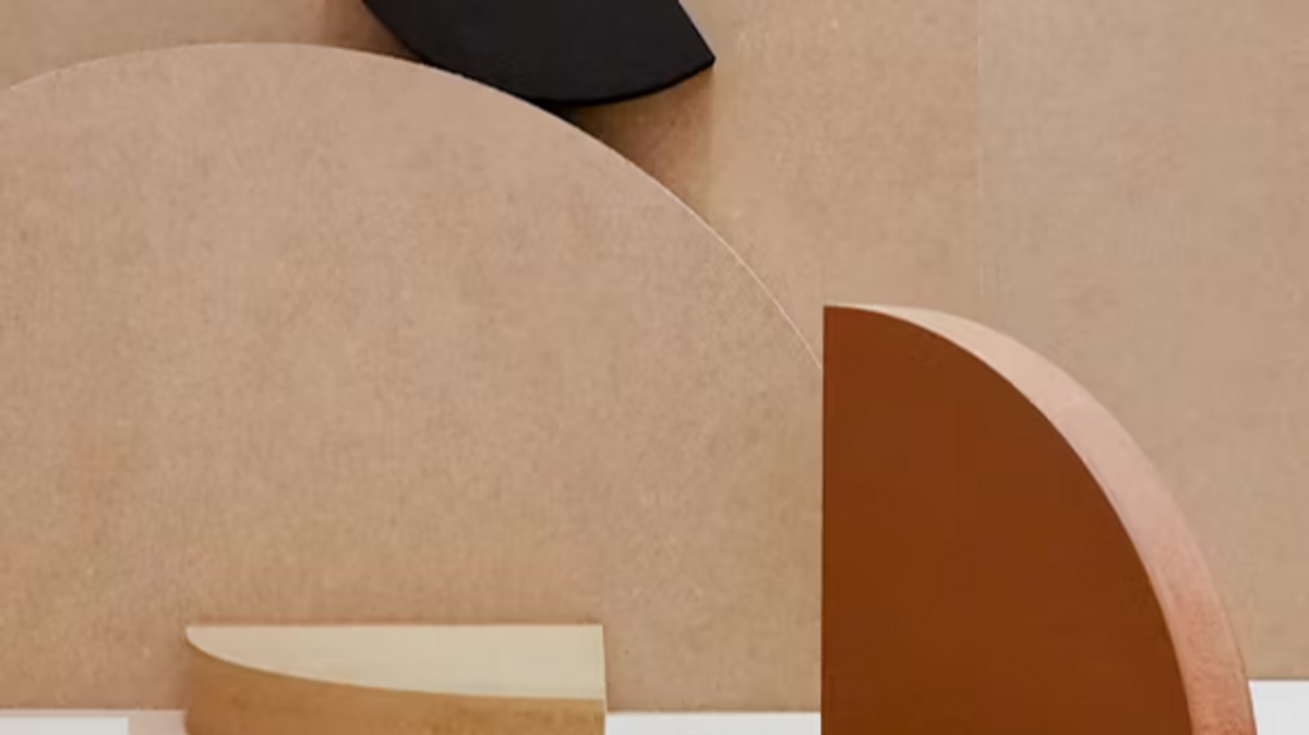 Cherry Blossom Day 2025