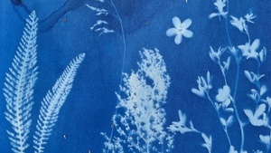 Blaues Wunder: Cyanotypien mit Berlin Blueprints