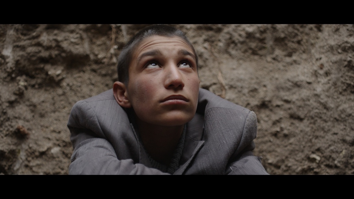 37. Türkische Filmtage München - TAVŞAN İMPARATORLUĞU- EMPIRE OF THE RABBITS