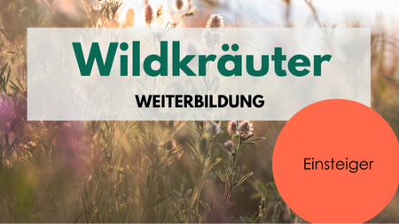 Wildkräuter für Einsteiger - Weiterbildung