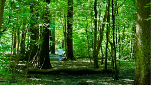 Walk&Talk für Frauen*