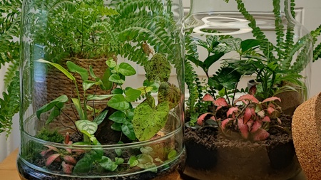 DschungelGlas - Workshop