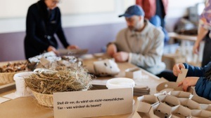 Langer Tag der Stadtnatur: Workshop zu Tierarchitekturen