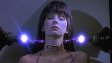 Zappenduster: Frankenhooker