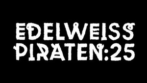 Schlaglichter auf die extreme Rechte und Braunzone in Düsseldorf