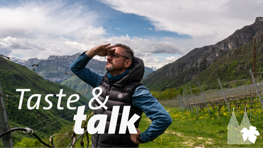 Taste & talk - Winzertalk im Kölner Weinkeller x J. Hofstätter