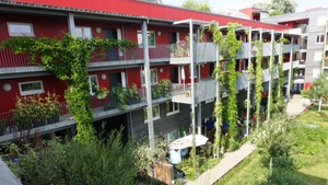Lebenswertes Stadtviertel durch mehr Grün!