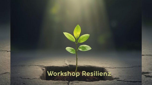 Innere Stärke entwickeln – Resilienz im Alltag stärken