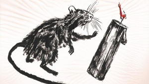 Frank Naumann & Corinna Zander: Ab durch die Mitte - Lesung & Vernissage