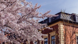 Stadtteilzentrum rote Nelke